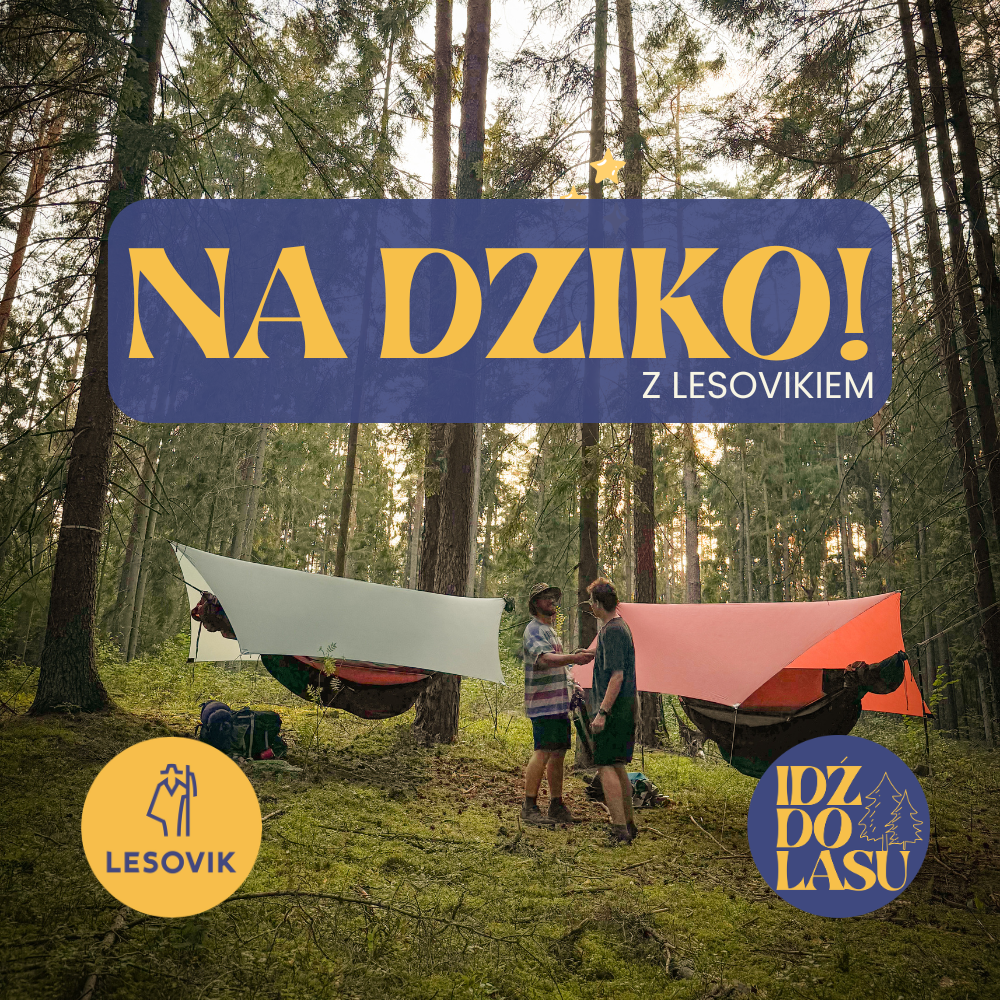 Na dziko - Polas x Lesovik | 20–22 marca
