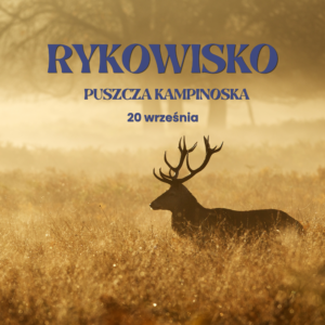 Rykowisko